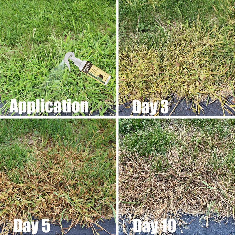 Herbicide Spray Gardening Supplies
